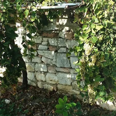 Apartment Sole E Fiori Di Sicilia