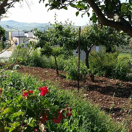 Sole E Fiori Di Sicilia Apartment *