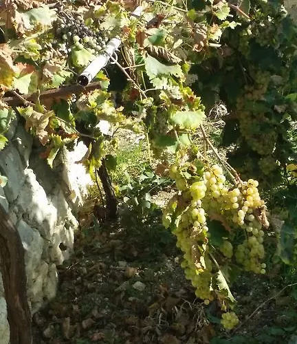 Sole E Fiori Di Sicilia * Вальдериче