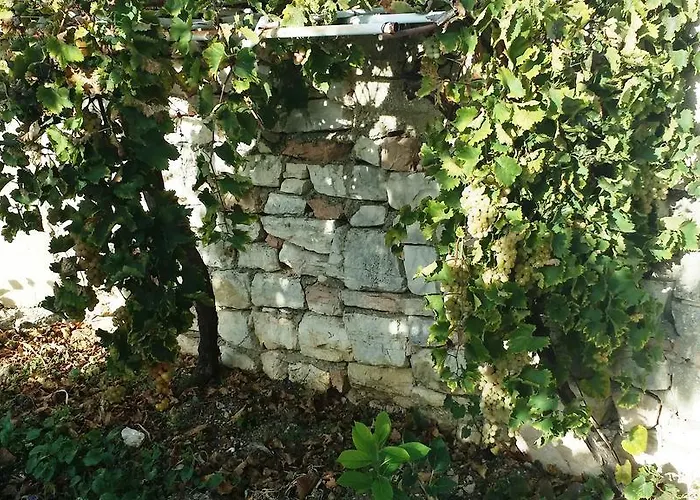 Апартаменты Sole E Fiori Di Sicilia