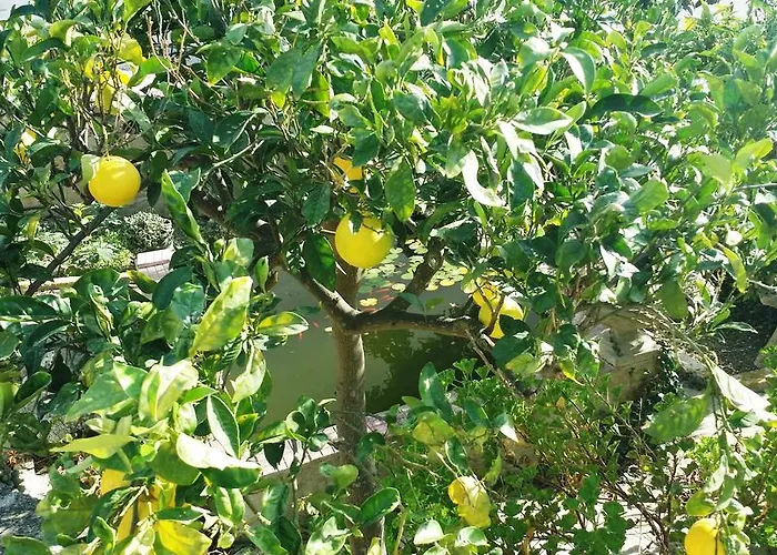 Sole E Fiori Di Sicilia Апартаменты *